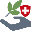 Information Cannabis